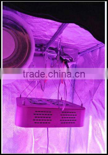 VanQ Newest integrated grow light with good heat dissipation system modular indenpendent desgin and optical lens