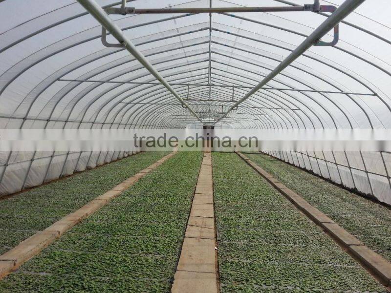 Arch in agricultural ecological greenhouse