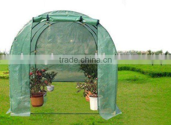 tunnel greenhouse