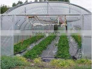 PE agricultural film/PE greenhouse film/PE mulch film