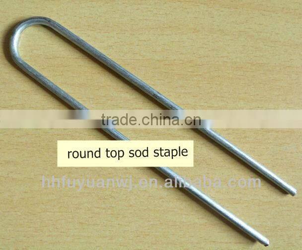 ground sod staple