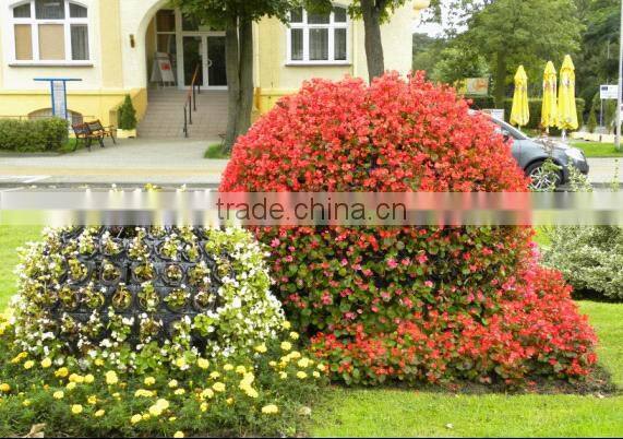 Flower pot bracket with big ball shaped planters