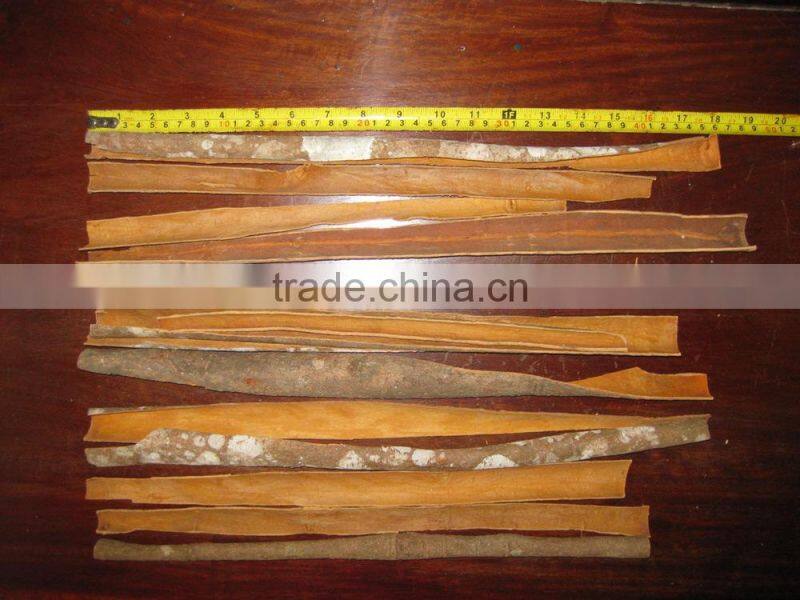 Vietnam cinnamon stick