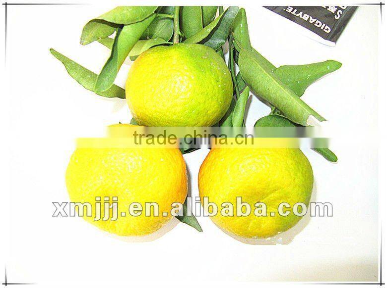 new harvested yongchun fresh mandarin orange