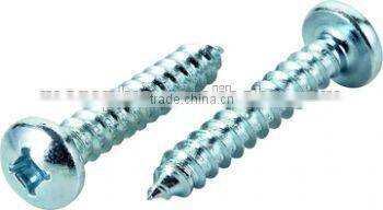Made in Taiwan stainless steel 306 standard Tapping Screw self tapping screw