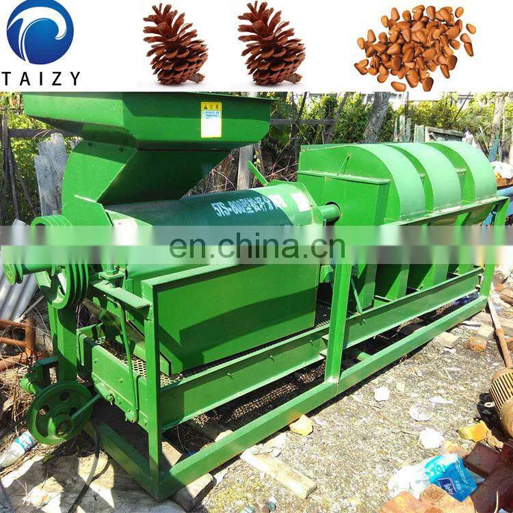 pine nut processing machine pine nut sheller pine nut cracker machine