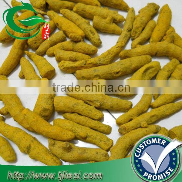 supply tumeric root with low price