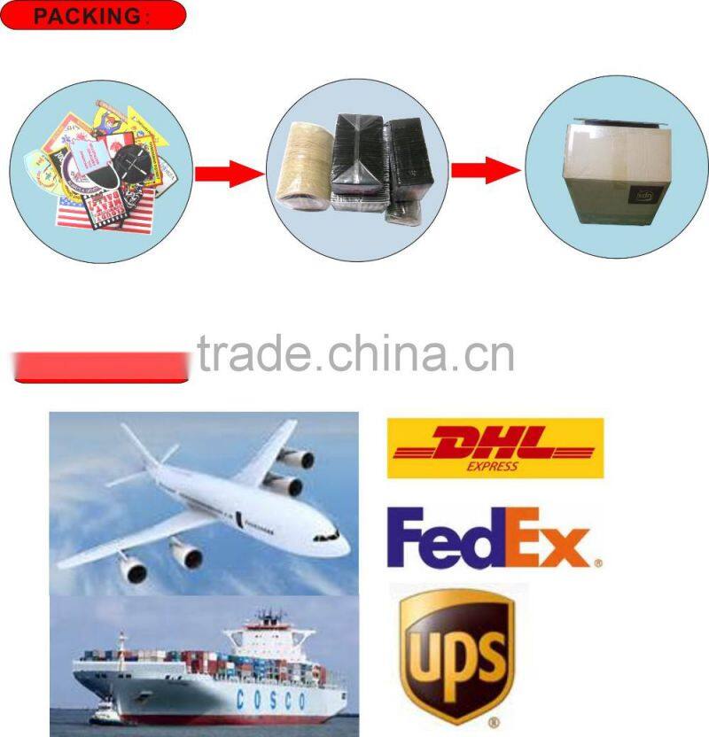 Nice Boy Scouts wolf patch