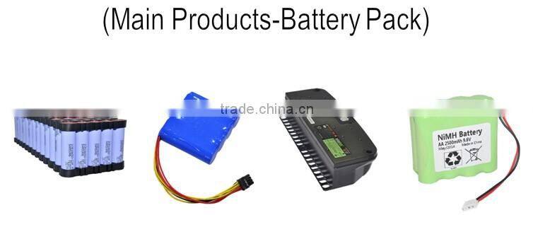 2x18650 smart charger