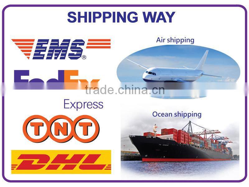 Wholesale on alibaba trending hot products blank dvd with case