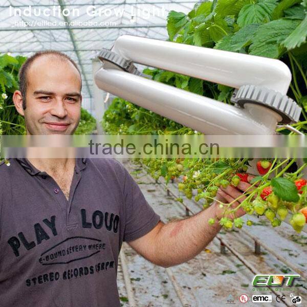 full spectrum induction lamps item type and plasma grow light
