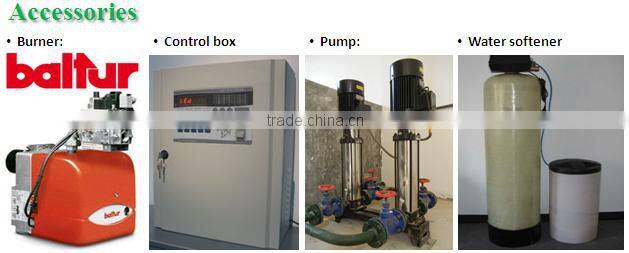 Steam boiler for Processing and preserving of fruit and vegetables
