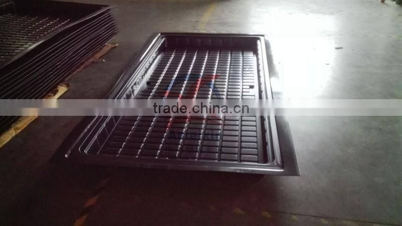 Thermoforming Plastic Trays