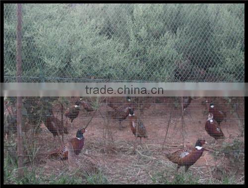 Poultry fencing net | netting easy to install