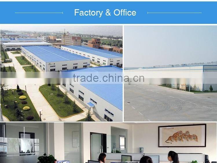 6 inch hub motor brushless gearless dc with drum brake