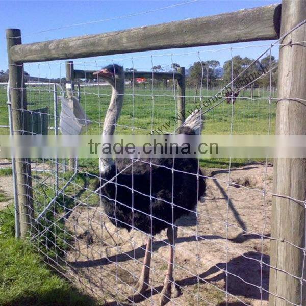 2014 Durable Firm Livestock Metal Cattle Fence,Wholesale Bulk Cattle Fence,Cattle Fence (Hot Sale)