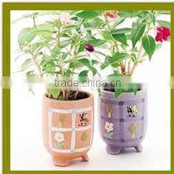 Specialized boxes for gifts DIY mini bonsai promotional gifts for teenagers , corporate anniversary gifts