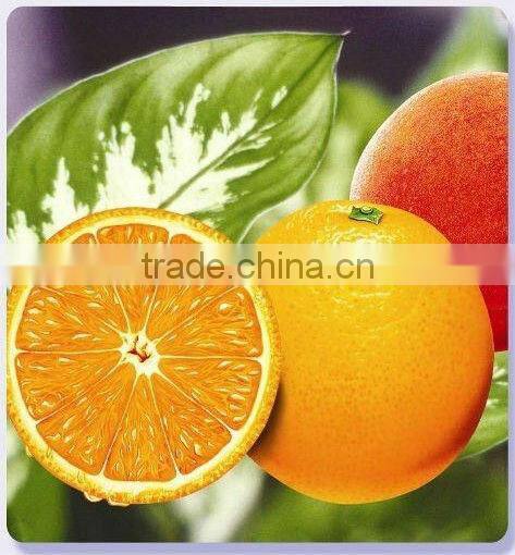 210 micron Inkjet Waterproof PET Frontlit Film