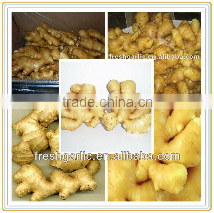 Dry Ginger /Fresh dried ginger