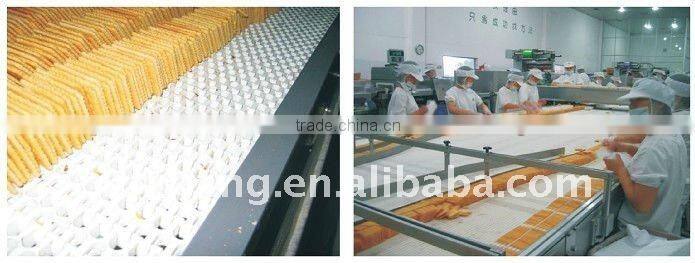 hygeian plastic conveyor belts