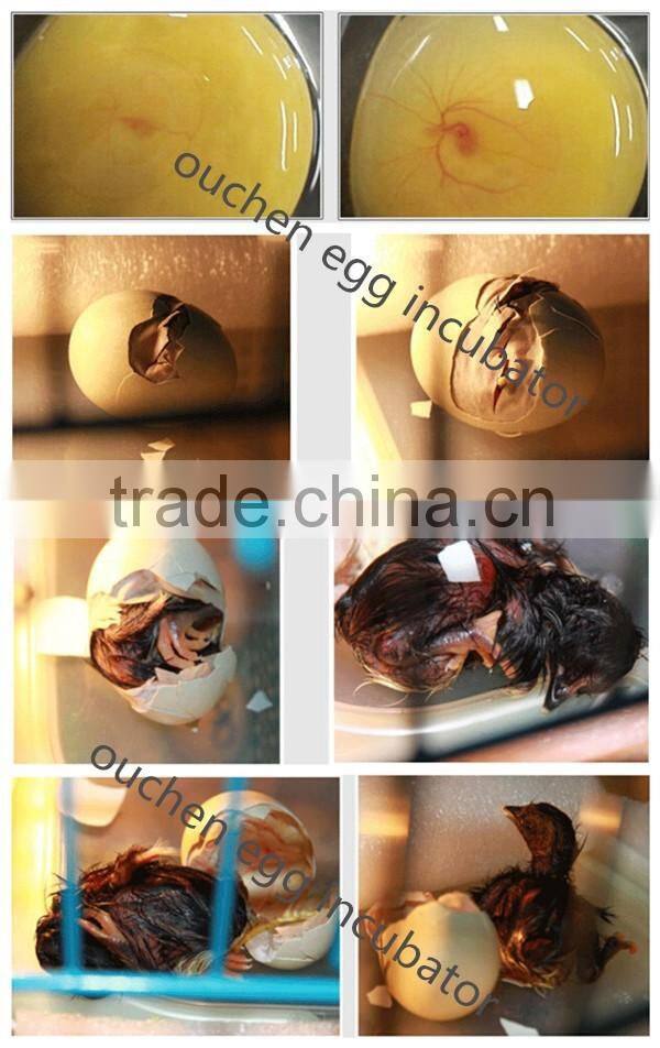 Cheap Price Ouchen chicken hatchery machine price duck turkey egg incubator for sale