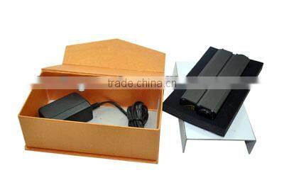 green laserpen for laser man show