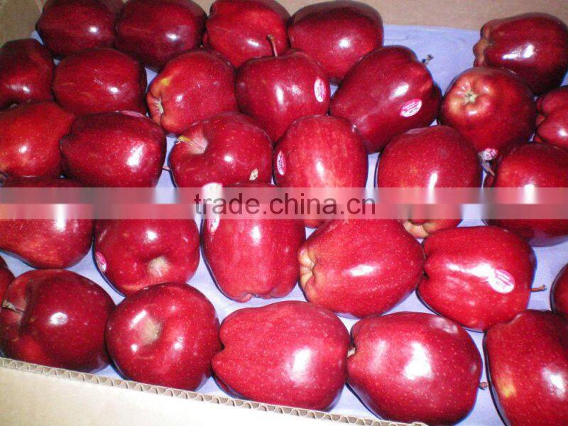 Huaniu Apple New Products
