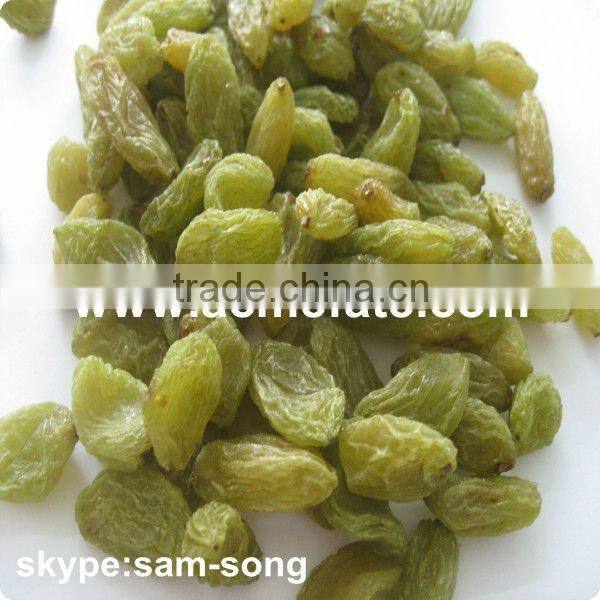 Big Size Sweet Green Raisin Hot Sale
