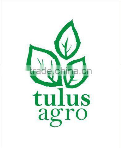 BEST Coco Fiber (Serabut Kelapa)- SALE PRICE!!