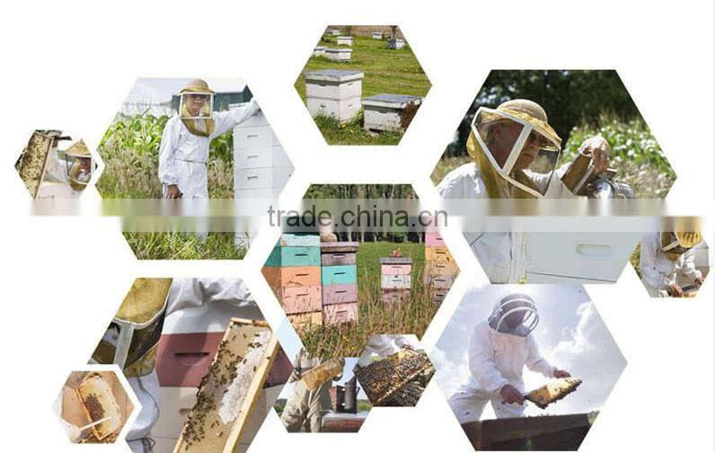 Pure Honey in 500g Glass or Plastic Bottle