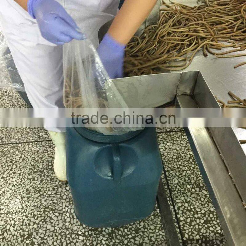 Chineses' osmunda cinamomea cinamomea in promotion vetch boiled osmund Japan osmunda cinamomea