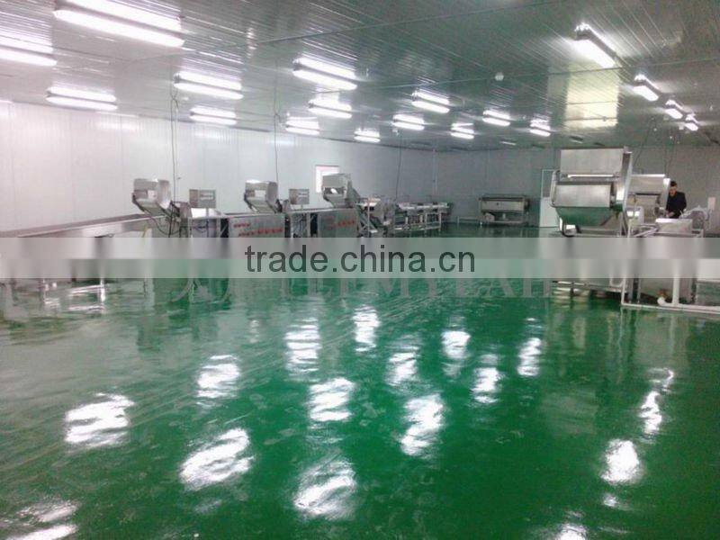 Shanghai j. z. f. cold chain fast food factory industrial washing machine