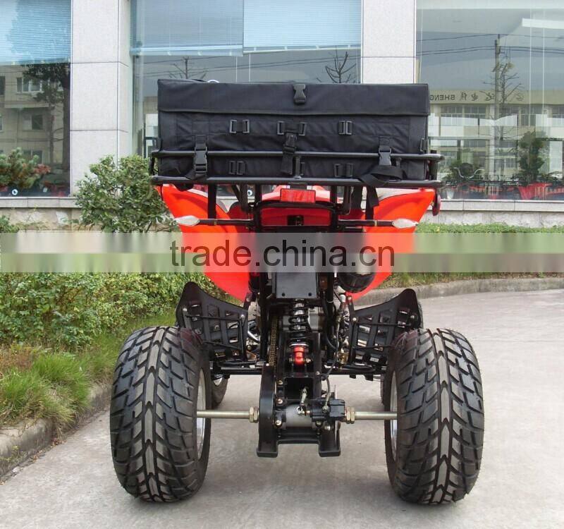 Hot sale Buggy 4x4 for adults