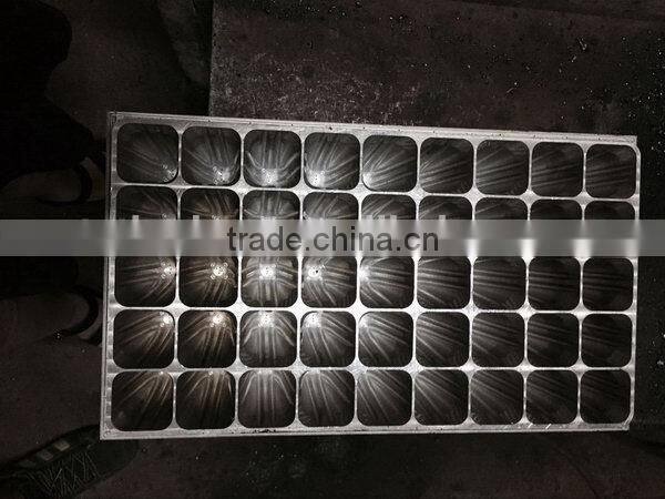 Newest Crazy Selling black seedling tray