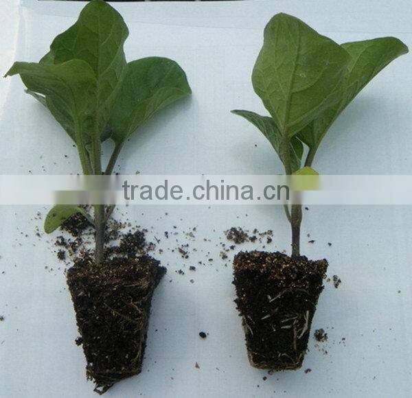 Made in china Reliable Quality low price durable nursery seeding tray