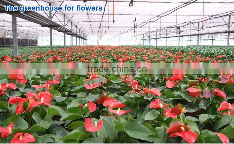 Fiberglass sheet for greenhouse