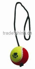 funny & lovely traning pet toys