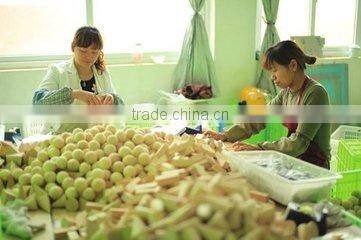 2015 most popualr wooden crafts