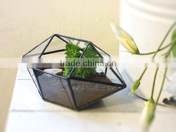 Wholesale hot sale clear geometric glass terrarium