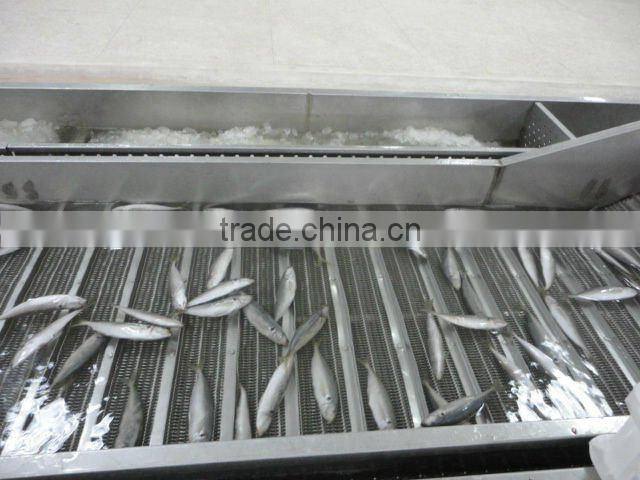 frozen IQF horse mackerel fish
