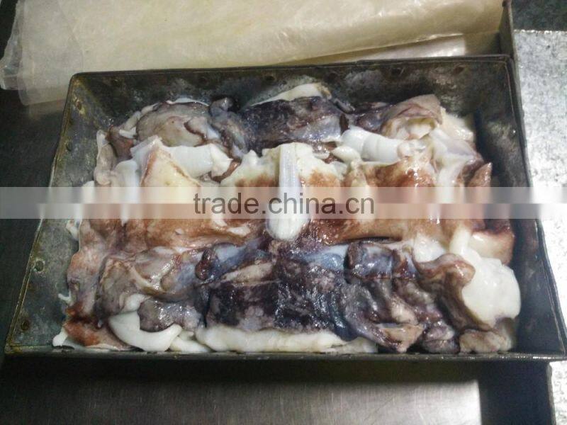 Frozen Giant Squid Neck