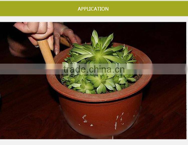 QJ-JG22 Garden tool kit/set with wooden handle