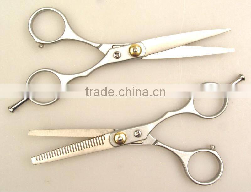 2PC Hairdesser Scissors Set