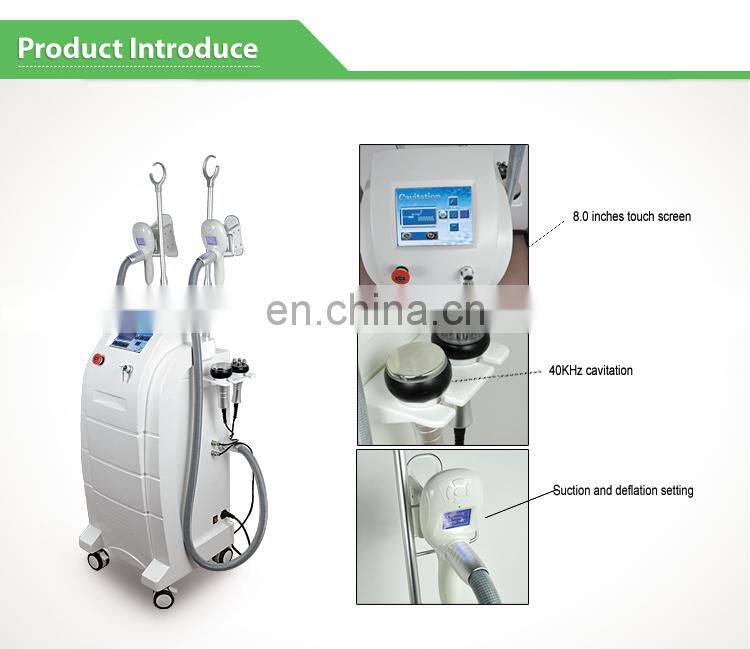 Popular Fat freezing /cryolipolysis slimming machine/criolipolisys machine