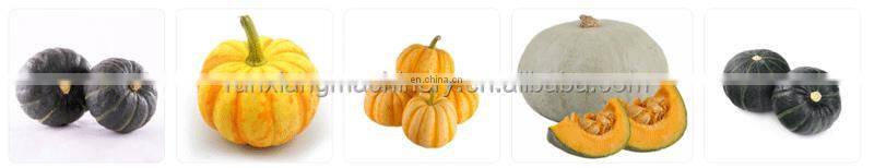 China Manufacture Papaya Peeling Machine / Pumpkin Peeling Machine / Watermelon Peeler
