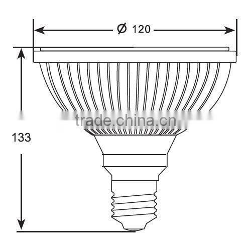 Newest 2 years warranty warm white PAR38 led spot light