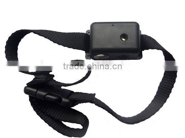 Small dog Sonic no bark control collar