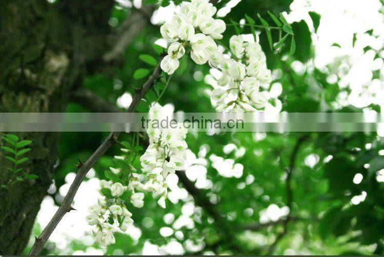 500g custom packaging for honey