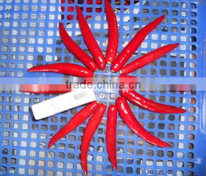 Fresh Red Chilli/ Viet Nam Red Chilli