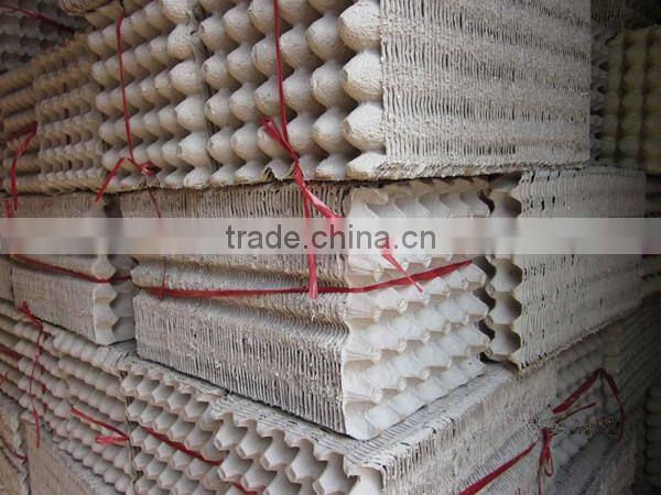 Mold recycle biodegradable molded fiber paper pulp egg trays price for sale manufacturers